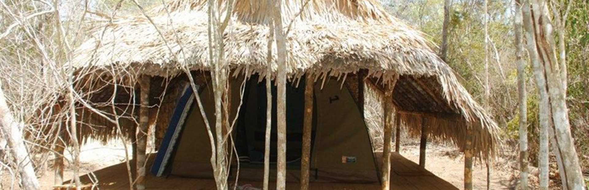 Le Camp Amoureux